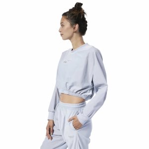 Reebok Classic Velour Crew Sweatshirt Damen - Grau - DE 029-IED